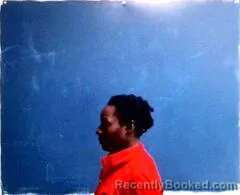 Mugshot of Ebony Webb