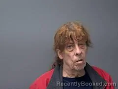 Booking photo from Baxter County, Arkansas