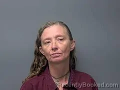 Booking photo from Baxter County, Arkansas