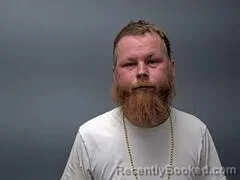 Mugshot of RONALD L WEBB