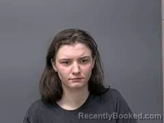 Mugshot of AVA T ANDERSON