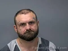 Mugshot of DENVER L BAUMGARDNER