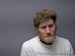 Mugshot of DUSTY R DAVIS