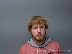 Mugshot of TREY R CHISM