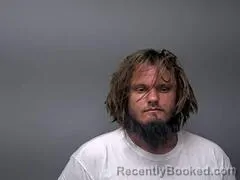 Mugshot of TRISTIN S OWENS
