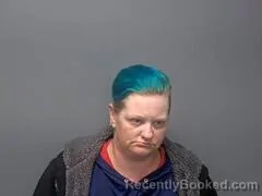 Mugshot of CHRISTINA M SCHWAB booked in Baxter County, Arkansas on April 5, 2026