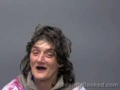 Mugshot of AMANDA L PATRICK booked in Baxter County, Arkansas on April 15, 2026