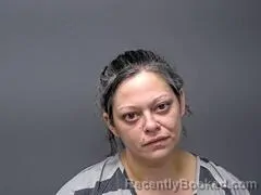 Mugshot of JOSEPHINE S WIDENER booked in Baxter County, Arkansas on April 15, 2026