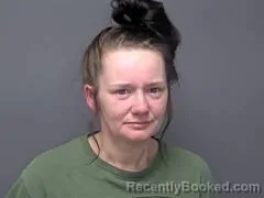 Mugshot of ARIEL D BECK booked in Baxter County, Arkansas on April 23, 2026