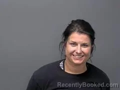 Mugshot of BRANDILYNN J WALKER booked in Baxter County, Arkansas on April 24, 2026