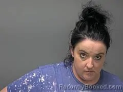 Mugshot of ANDREA G SANDERS booked in Baxter County, Arkansas on April 27, 2026