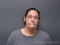 Mugshot of FAY A SMITH booked in Baxter County, Arkansas on April 28, 2026