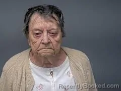 Mugshot of SHELBY J PILKILTON booked in Baxter County, Arkansas on May 1, 2026