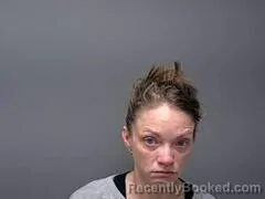 Mugshot of HEATHER N SISNEY booked in Baxter County, Arkansas on June 19, 2026