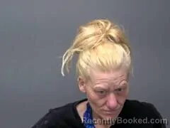 Mugshot of AMANDA R ABOUELKHIR booked in Baxter County, Arkansas on June 28, 2026