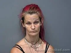 Mugshot of JESSICA L RAYMOND booked in Baxter County, Arkansas on July 1, 2026