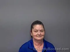 Mugshot of LIZA K SIMPSON booked in Baxter County, Arkansas on July 10, 2026