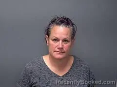 Mugshot of JANICE R DONAIS booked in Baxter County, Arkansas on July 10, 2026