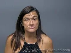 Mugshot of CRYSTAL D SANFORD booked in Baxter County, Arkansas on July 13, 2026