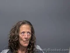 Mugshot of LYNDA L WOODRUFF booked in Baxter County, Arkansas on July 13, 2026