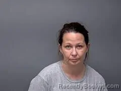 Mugshot of BRANDI J WITHROW booked in Baxter County, Arkansas on July 14, 2026