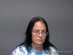 Mugshot of CHRISTINA M WALTERS booked in Baxter County, Arkansas on July 14, 2026