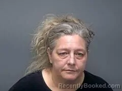 Mugshot of Kimberly S Stokes booked in Baxter County, Arkansas on July 28, 2026