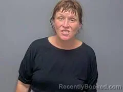 Mugshot of Kristin R Harrington booked in Baxter County, Arkansas on July 30, 2026
