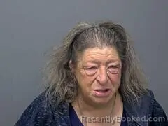 Mugshot of VALERIE L WEIS booked in Baxter County, Arkansas on August 3, 2026