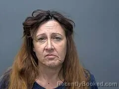 Mugshot of MARY R TAYLOR booked in Baxter County, Arkansas on August 4, 2026