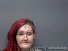 Mugshot of Samantha R Burlin booked in Baxter County, Arkansas on August 16, 2026