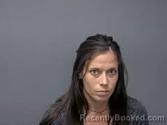 Mugshot of Lillian C Perry booked in Baxter County, Arkansas on August 17, 2026