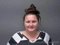 Mugshot of Kelley N Moore booked in Baxter County, Arkansas on August 17, 2026