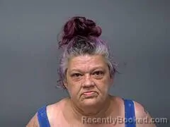 Mugshot of Lynn M Harris booked in Baxter County, Arkansas on August 27, 2026