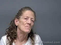 Mugshot of Lynda L Woodruff booked in Baxter County, Arkansas on September 12, 2026