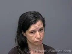 Mugshot of Amanda L Omalley booked in Baxter County, Arkansas on September 12, 2026