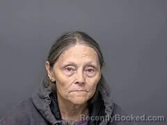 Mugshot of Joyce M Ramsey booked in Baxter County, Arkansas on September 27, 2026