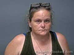 Mugshot of Jennifer G Drzka booked in Baxter County, Arkansas on October 4, 2026