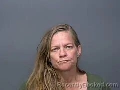 Mugshot of Alisha R Miller booked in Baxter County, Arkansas on October 6, 2026