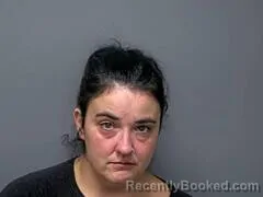 Mugshot of Andrea G Sanders booked in Baxter County, Arkansas on October 17, 2026