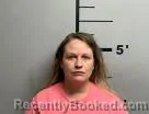 Mugshot of Ashley Wilson