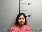 Booking photo from Benton County, Arkansas