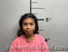 Mugshot of Nediea Jerilong booked in Benton County, Arkansas on October 15, 2026