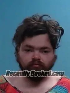 Booking photo from Boone County, Arkansas