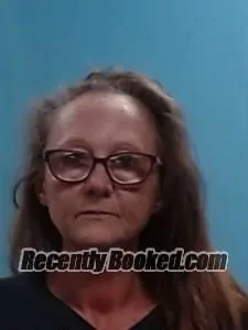Booking photo from Boone County, Arkansas