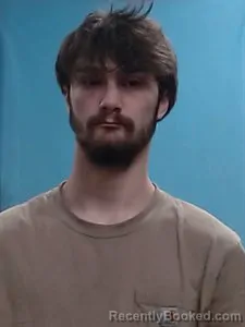 Booking photo from Boone County, Arkansas