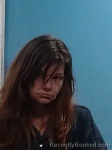 Mugshot of Heather Marie Mcgath