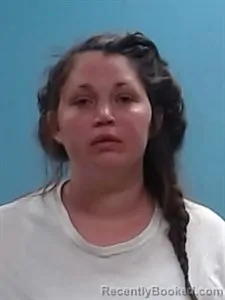 Booking photo from Boone County, Arkansas