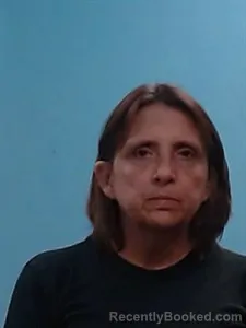 Mugshot of Brenda Sue Williams