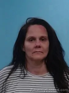 Mugshot of Heather Ann Lewis